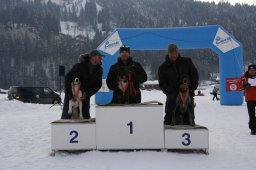 Lenk 2012 SM
